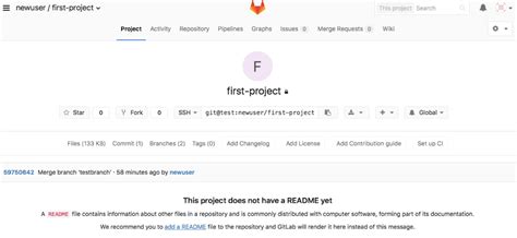 Image result for GitLab Source Setup Tutorial