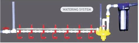 Broiler Watering System Manufacturer, Supplier from Mumbai