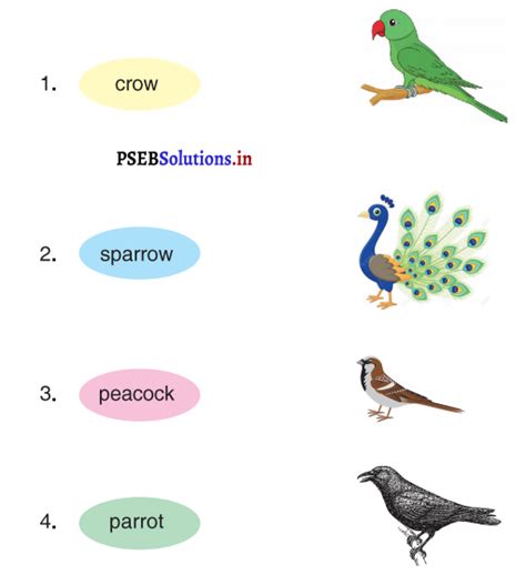 Class 3 Lesson 2 English PSEB 的图像结果