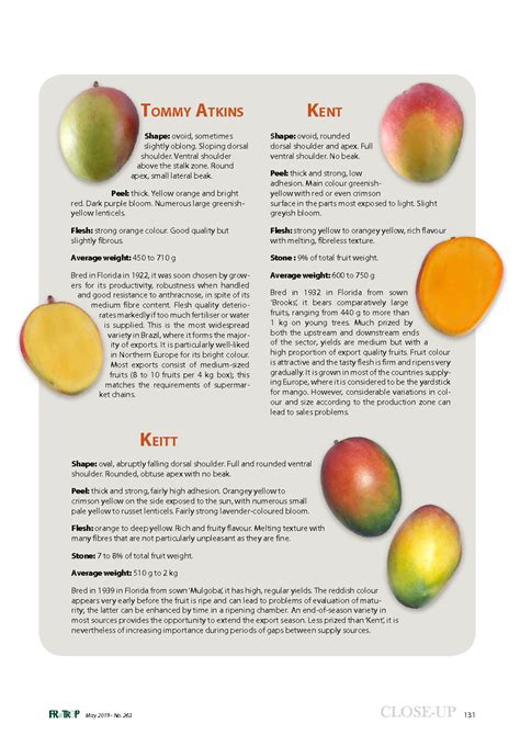 Image result for Mango Types Mango Varieties