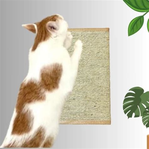 Jute Scratch Pad with Catnip for Cats, Handmade, Self Adhesive, for ...