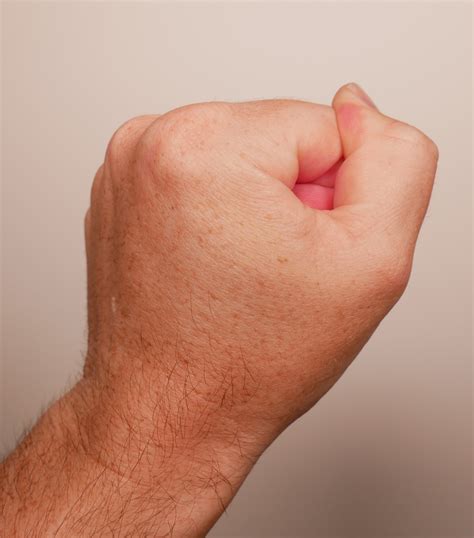 Hand Reference Photos for Artists - Draw Paint Academy