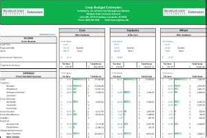 Image result for Budget Example for Crop Production