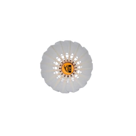Hundred F10 Feather Shuttlecock – Hundred India