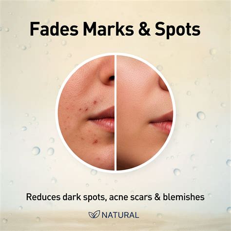 Skin Repair Serum (Red Algae) – W2 | Why Wait