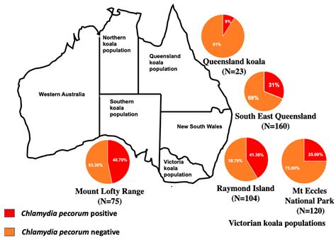 Percentage Of Koalas With Chlamydia