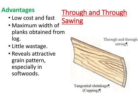 conversion of timber.pptx