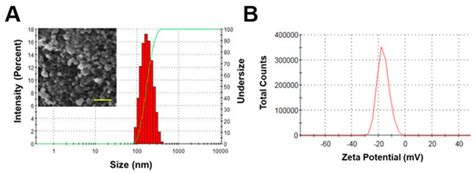 Nitric Oxide-Releasing S-Nitrosoglutathione-Conjugated Poly(Lactic-Co ...