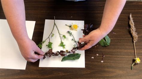 Image result for Flower Project