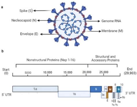 Hybrid Approach to Identifying Druglikeness Leading Compounds against ...