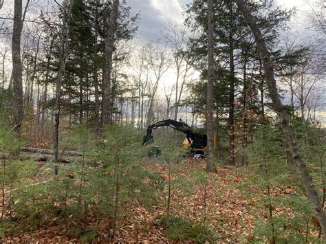 Tiger Hill Harvest Tour, Tiger Hill Community Forest, Sebago, 13 ...