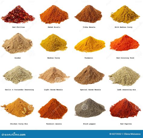 Sixteen Piles Of Indian Powder Spices Stock Photo - Image: 8273552