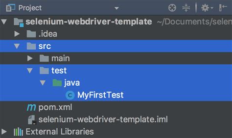Image result for Checking Secure Connection Using Selenium Web Driver in Java