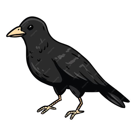 Crow Clipart Drawing