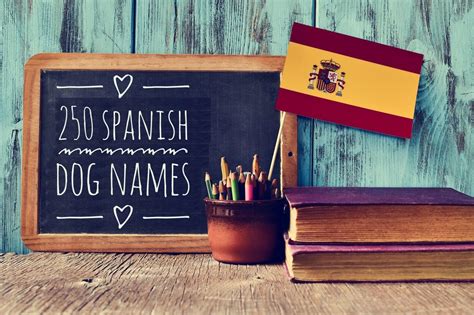 250 Spanish Dog Names Inspired by All Things Spanish