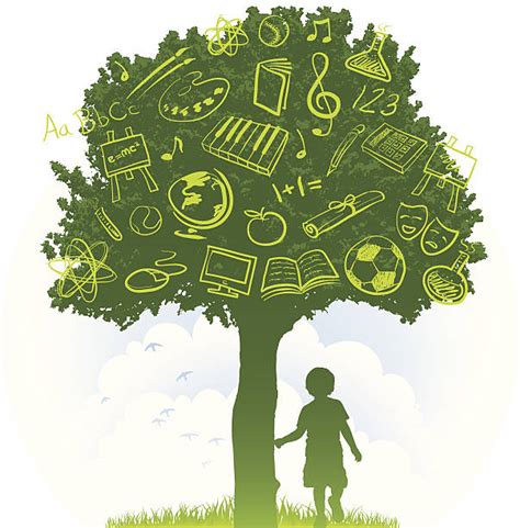 Image result for Math KnowledgeTree