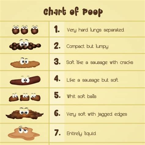 Poop Types 的图像结果