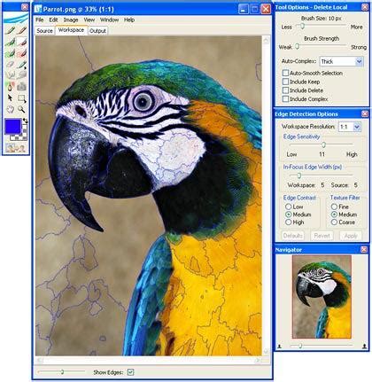 Image result for Vertus Fluid Mask Tutorial