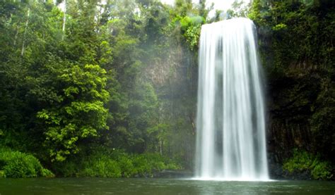 Corbett waterfall, ramnagar, India - Top Attractions, Things to Do ...