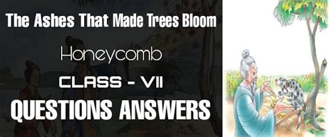 The Ashes That Made Trees Bloom Class 7 NCERT Solutions - edunation19