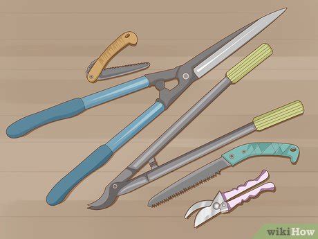 Image result for Homemade Tree Pruner