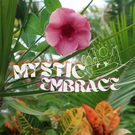 MYSTIC EMBRACE (2025) All You Need to Know BEFORE You Go (with Photos ...