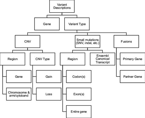 Image result for Variant Definition