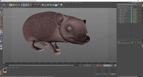 Bald Hedgehog Standing 3D | 3D Molier International