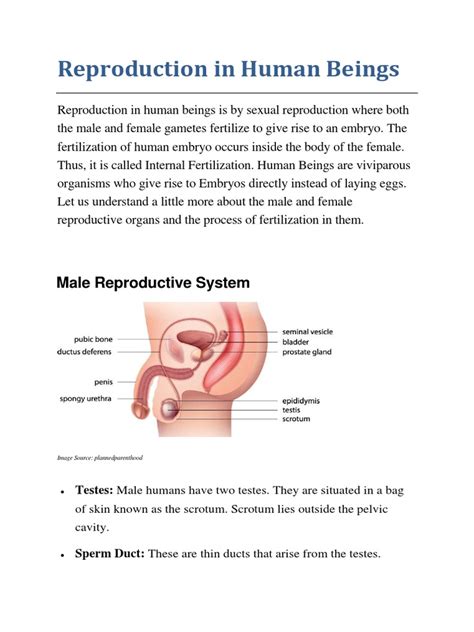 Image result for Reproduction Class 10 PDF