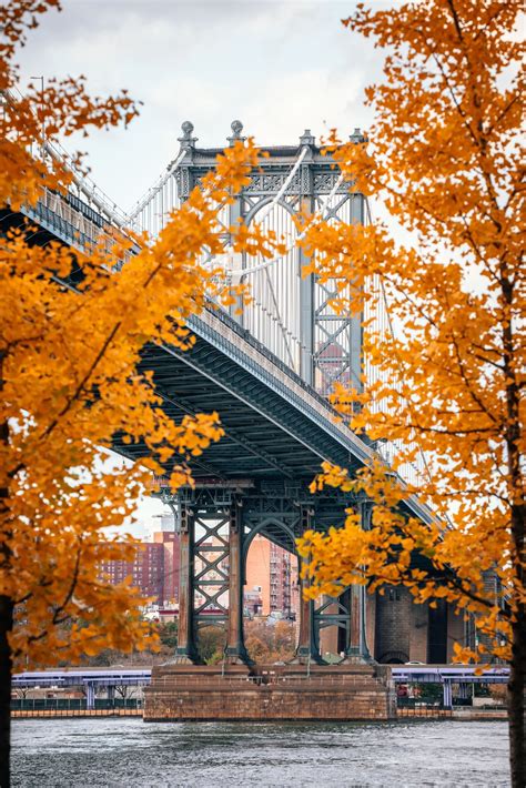 New York Autumn iPhone Wallpapers - Wallpaper Cave