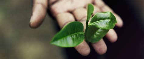 Best Body Wash For Sensitive Skin: Soaps & Body Washes For Men