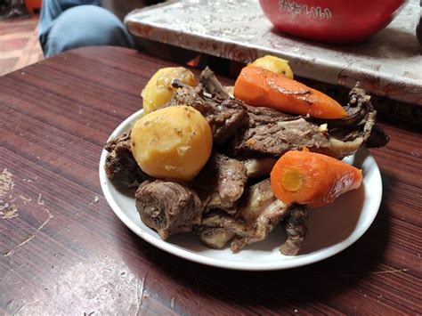 Nomadica - Impact Discovery - Ulaanbaatar | Tripadvisor