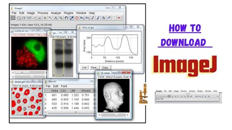 Image result for ImageJ Software Java Version 8