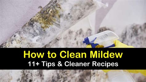 11+ Amazing Ways to Clean Mildew