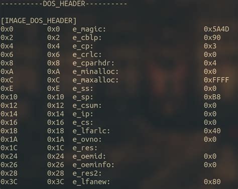 Portable Executable Structure 的图像结果