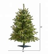 Image result for Christmas Trees for Sale Near Me