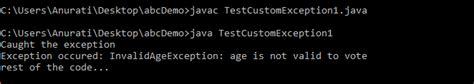 Custom Exception Handling Java 的图像结果