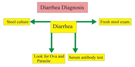 Can Bacteria In Urine Cause Diarrhea at Lawrence Melson blog