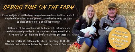 SPRING TIME ON THE FARM – Lamb & Highland Cow Experience ...