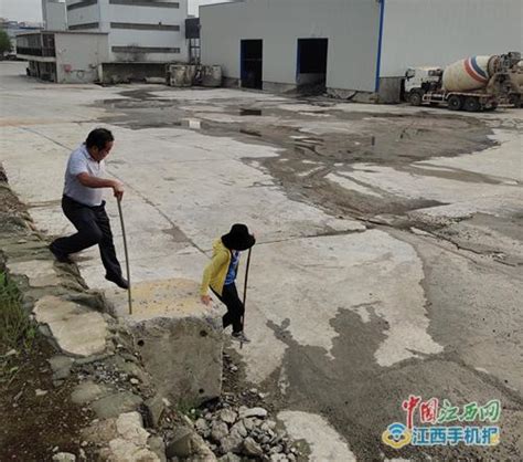 九江经开区建设环保局：开展巡堤查险，筑牢安全防线-九江频道-大江网（中国江西网）