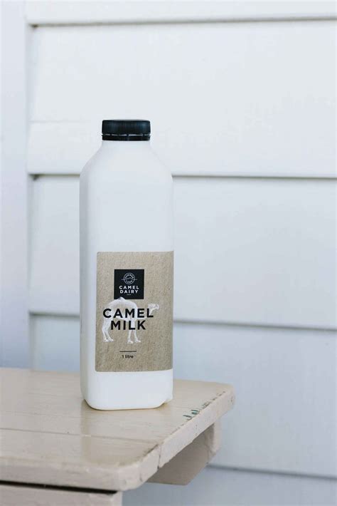 Camel milk Queensland: Inside an award-winning camel dairy farm