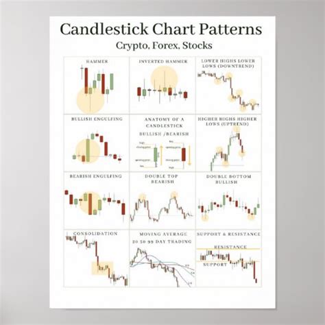Candlestick Chart Patterns Cheat sheet | Zazzle