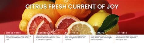 Buy RIYA BINDAS For Men Eau De Parfum Spray Aromatic Woody Spicy 100 ML ...