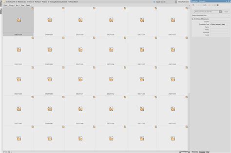 Image result for ACDSee Export Tutorial