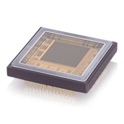 Lince - High-Speed & Highly Sensitive 2D CMOS Sensors | Teledyne Vision ...