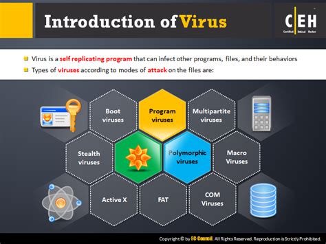 Image result for Code Red Virus