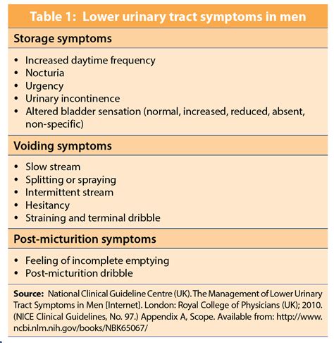 Pathophysiology Of Lower Urinary Tract Infection