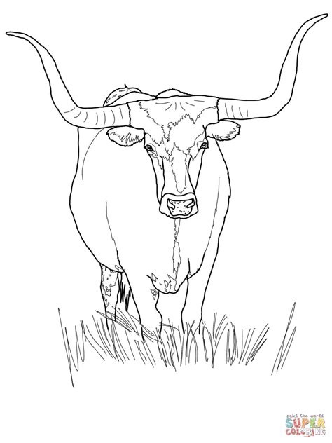 Texas Longhorn Cattle coloring page | Free Printable Coloring Pages