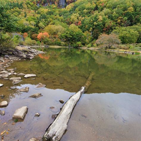 GOMIIKE HAFU KOGEN NATURE PARK (2024) All You Need to Know BEFORE You ...