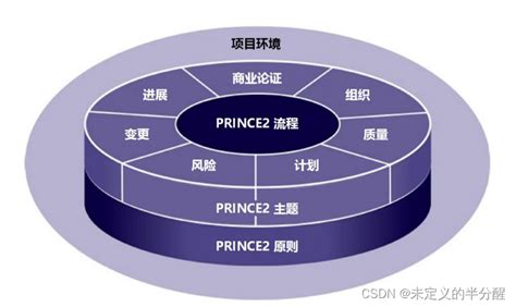 PRINCE2 Explained 的图像结果